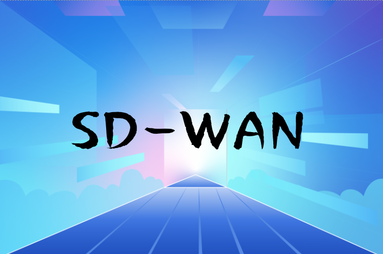 企业有必要衡量SD-WAN以确保跟上网络的步伐