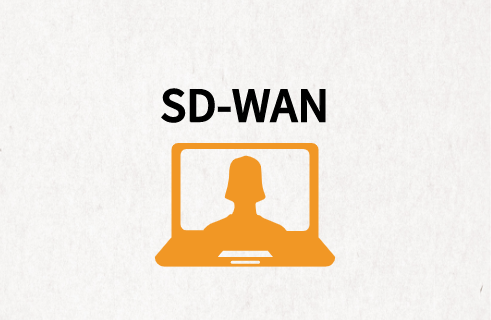 智能网络优化SD-WAN