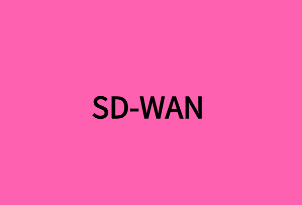 SD-WAN对多地点企业有什么好处?