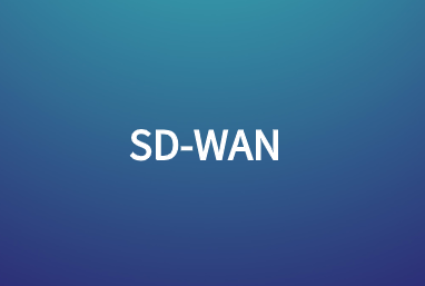 向SD-WAN 2.0的演进