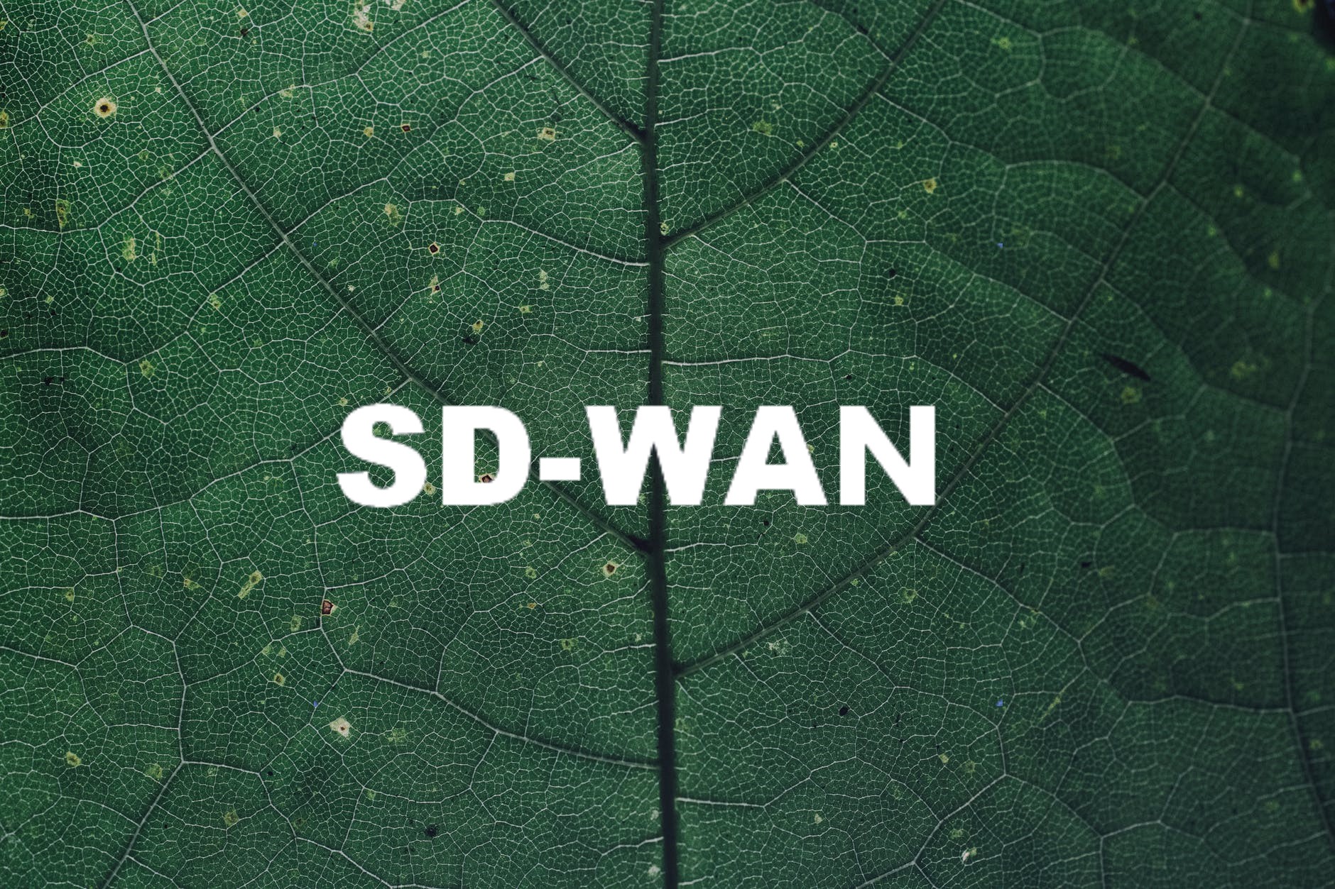 利用SD-WAN技术避免或减少中断