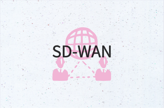 SD-WAN向云的加速迁移