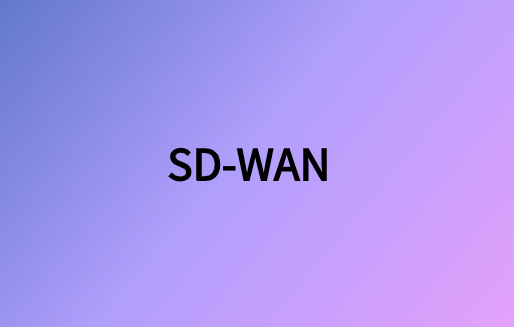 电信SD-WAN