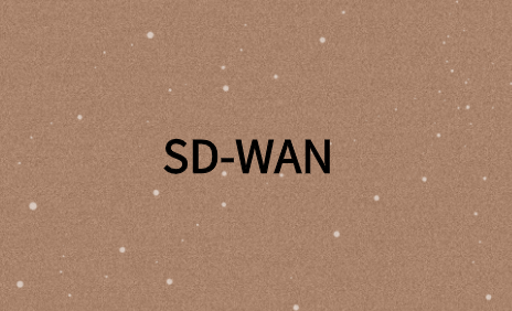 SD-WAN如何进行故障排除?