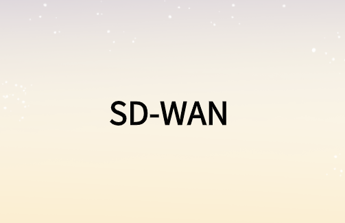 加速视频业务的SD-WAN