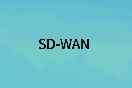 为您的企业选择合适的SD-WAN方案