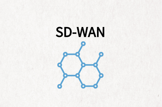 SD-WAN安全性领先