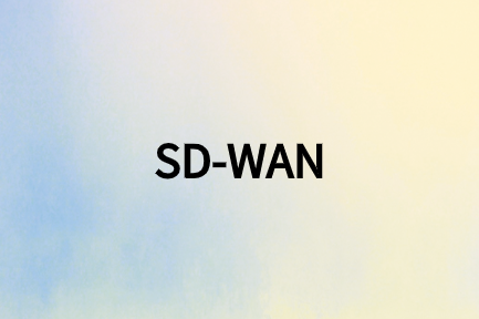 访问云应用的SD-WAN