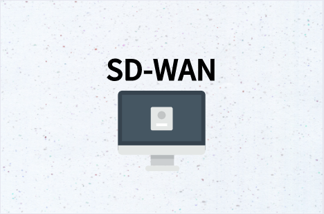 SD-WAN传统架构