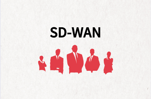 SD-WAN优化器