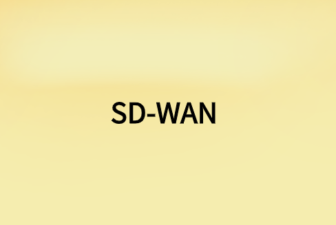 哪个SD-WAN?