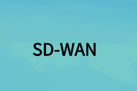 输入软件定义的广域网(SD-WAN)