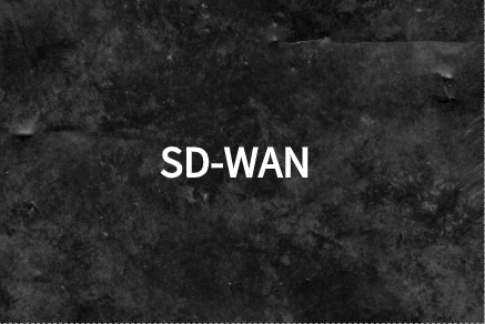 考虑利用SD-WAN解决网络问题