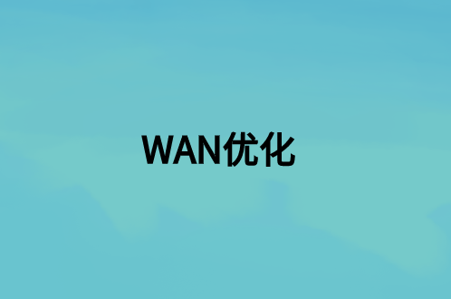 WAN优化：这是什么，好处是什么?