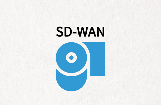 SD-WAN功能