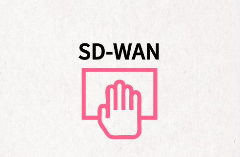 SD-WAN连接