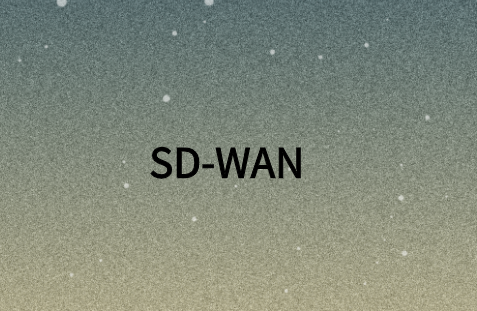 SD-WAN:全球敏捷企业的下一代WAN