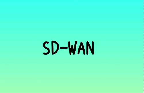 SD-WAN：通过宽带提供最高的网络质量