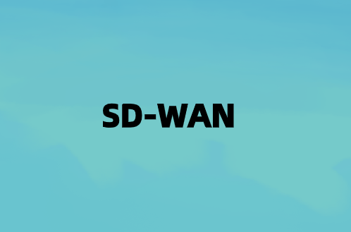 输入SD-WAN连接数据和应用程序