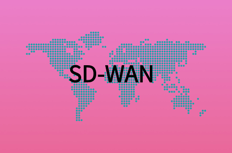 SD-WAN价格