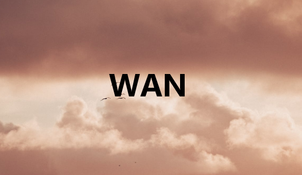 广域网(WAN)如何工作?