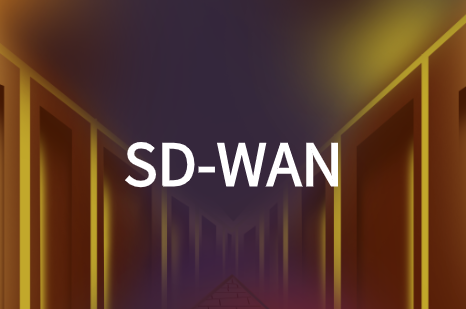 云杰SD-WAN云杰通信：实现跨国企业网络组网互联