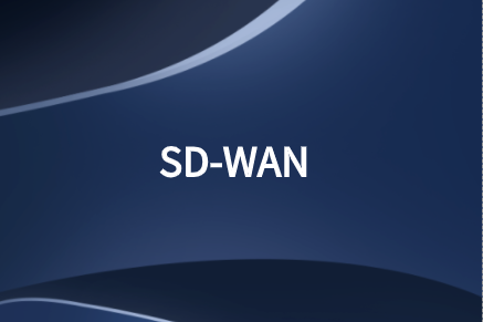 SD-WAN关键领域