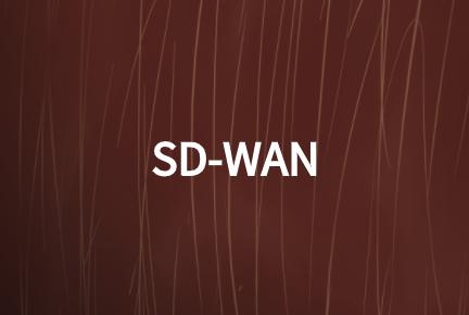 SD-WAN网络技术如何加强现有WAN网络性能?