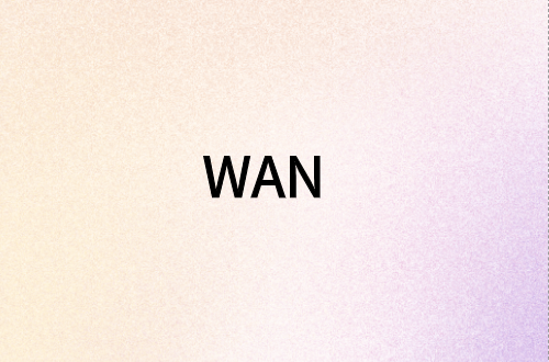 广域网(WAN)接口类型