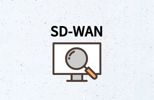 谁使用SD-WAN?