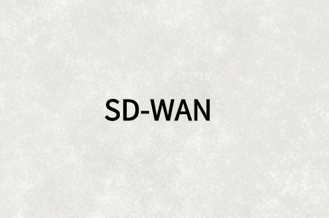 SD-WAN与WAN优化