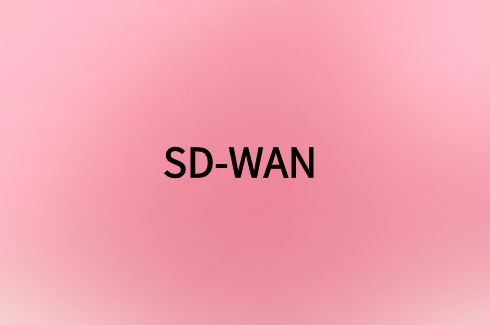 SD-WAN网络质量