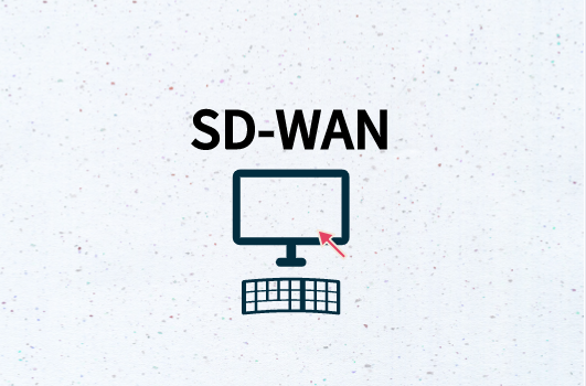 SD-WAN演进