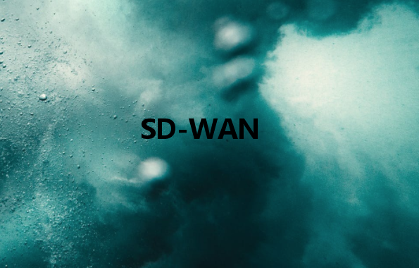 SD-WAN：使通过公共网络传输的数据像专用网络一样安全