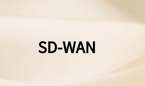 如何利用SD-WAN技术实现数字化转型?