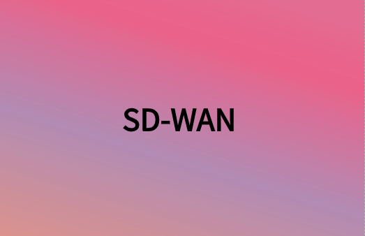 除连接性外，SD-WAN还提供很多网络优势